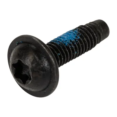Schraube mit großer Sicherungsscheibe M 6 x 1 x 22