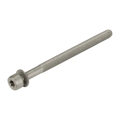 Schraube mit Scheibe M 6 x 77