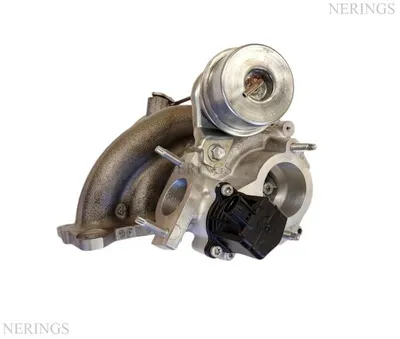 Turbocharger Remanufactured (Toyota-R)