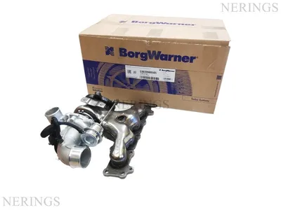 Turbocharger new (BorgWarner-OEM)-DEBW