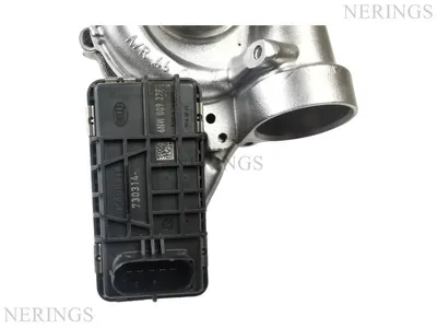 Turbocharger Remanufactured (left side (GARRETT)