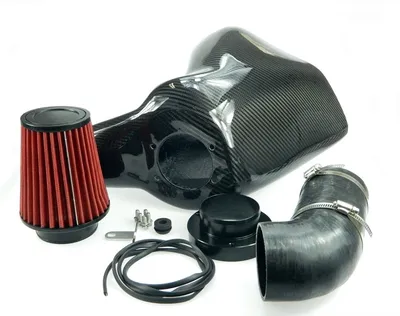Ingestión de aire de carbono/ Caja de aire/ Ingestión de aire Seat · VW