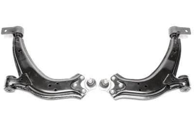 Set de huesos pequeños Citroën · Peugeot