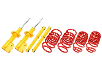 Suspensión deportiva Renault