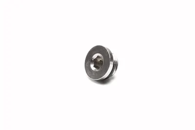 Plug 1/4" macho